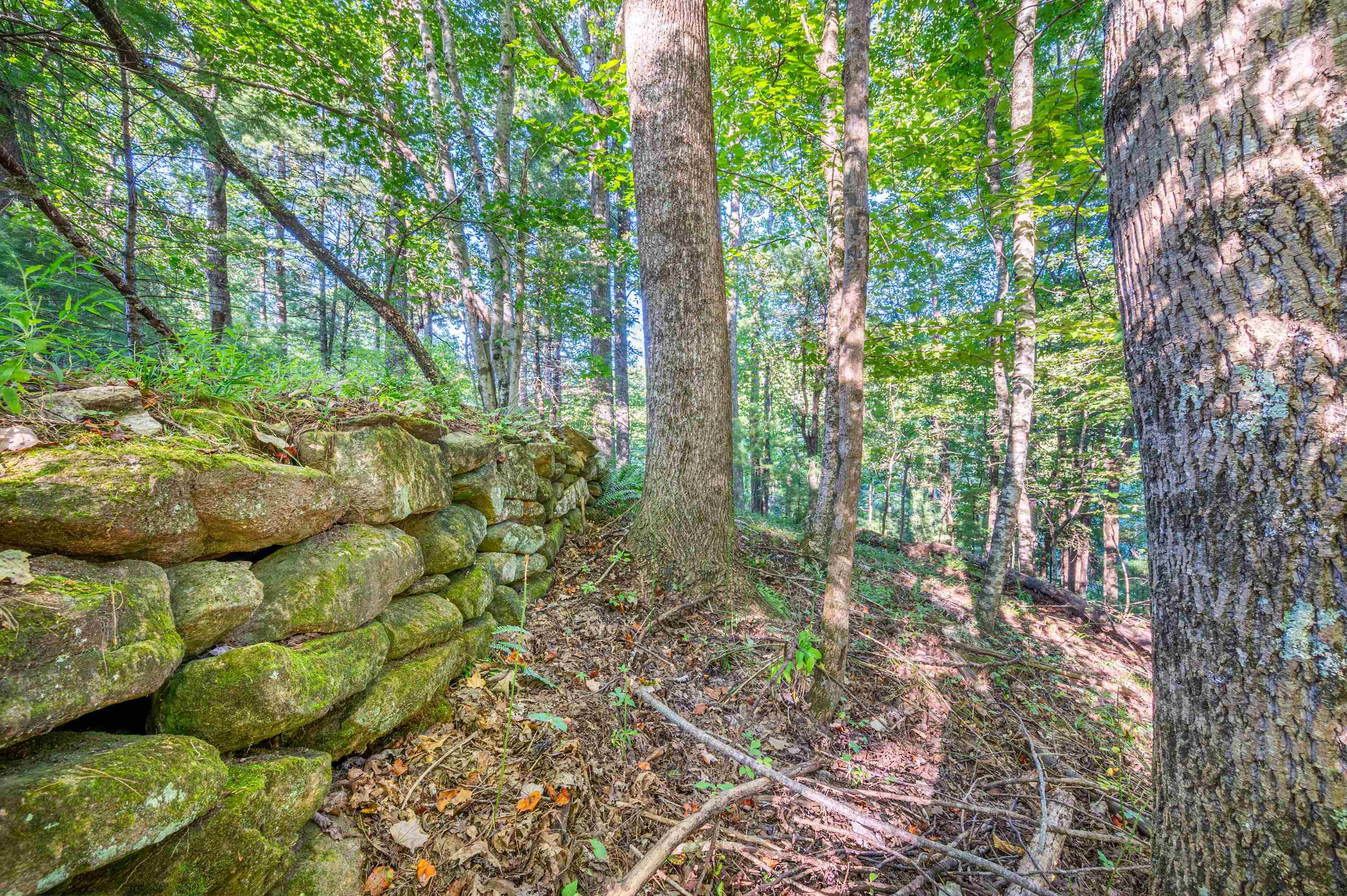 1287 Cox Store Road Southwest Floyd, VA 24091 - Photo 17 of 22 Gallery Image 17