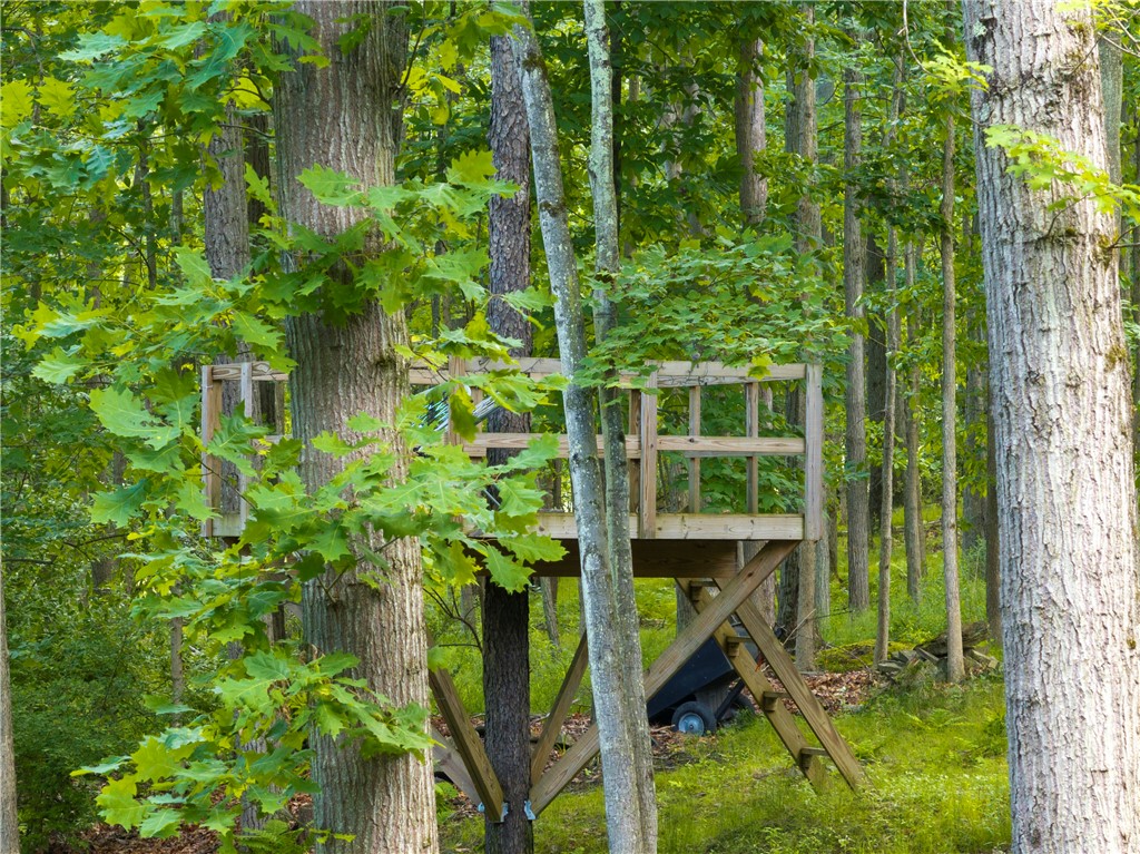 11 Overbrook Road Erwin, NY 14870 - Photo 44 of 50