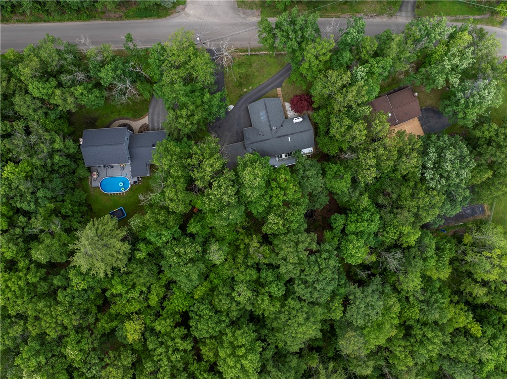 11 Overbrook Road Erwin, NY 14870 - Photo 46 of 50