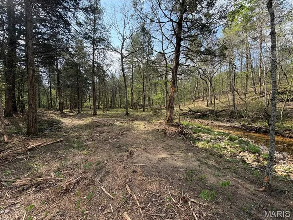 $119,900 | 3 Furnace Creek Road, Potosi, MO 63664