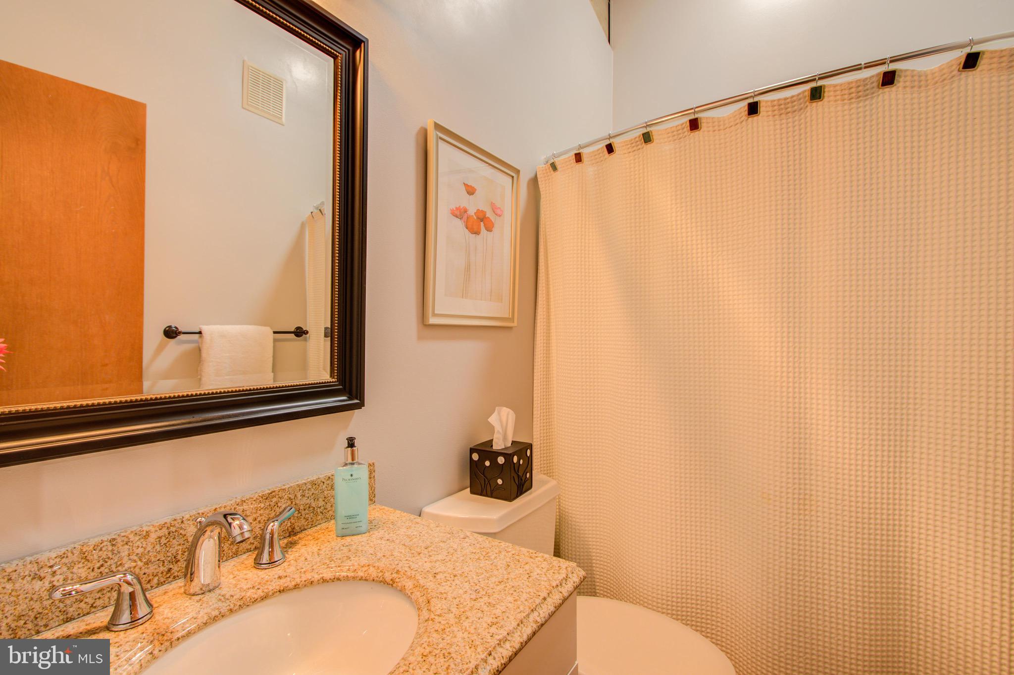 10610 Sweepstakes Road Damascus, MD 20872 - Photo 23 of 49 Hall bathroom