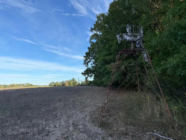 $320,000 | Tbd Nightingale Street, Braham, MN 55006