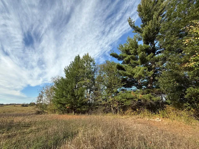$320,000 | Tbd Nightingale Street, Braham, MN 55006