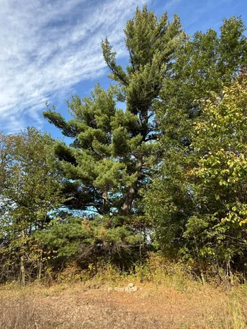 $320,000 | Tbd Nightingale Street, Braham, MN 55006