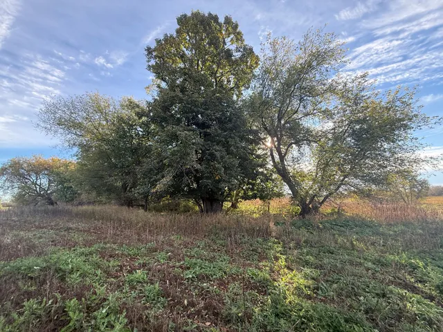 $320,000 | Tbd Nightingale Street, Braham, MN 55006