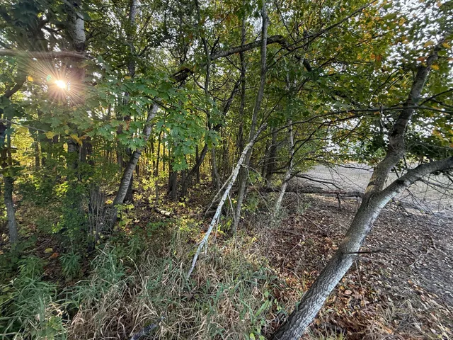 $320,000 | Tbd Nightingale Street, Braham, MN 55006