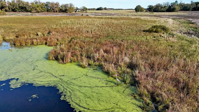 $299,900 | Tbd Nightingale Street, Braham, MN 55006