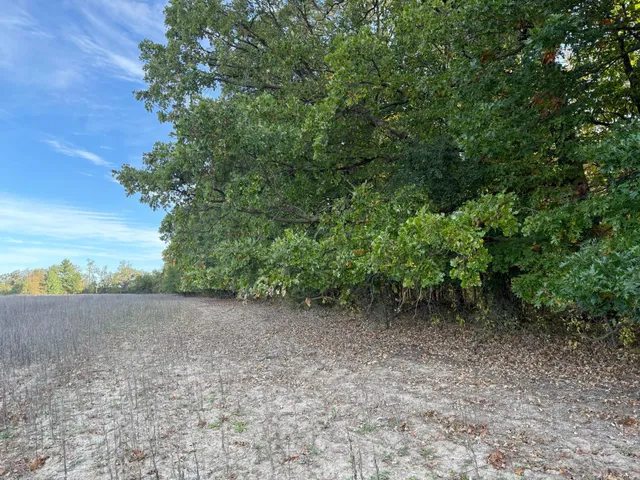 $320,000 | Tbd Nightingale Street, Braham, MN 55006