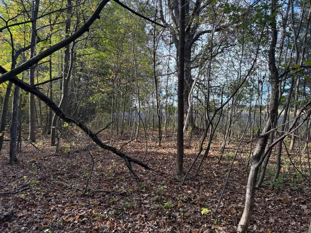 $320,000 | Tbd Nightingale Street, Braham, MN 55006