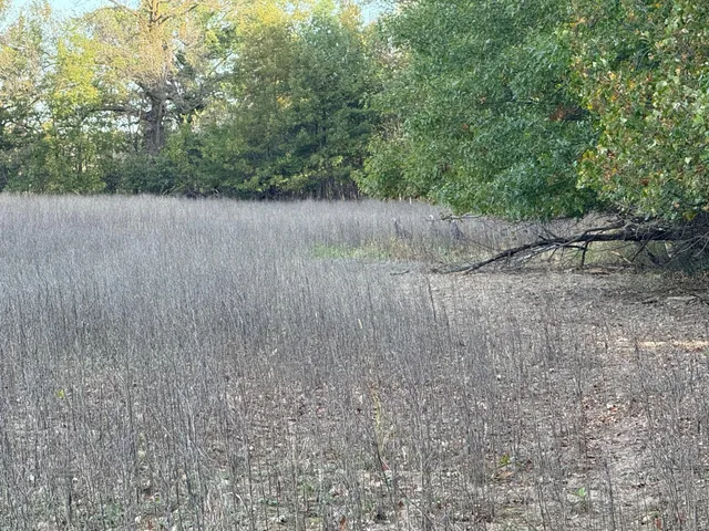 $320,000 | Tbd Nightingale Street, Braham, MN 55006