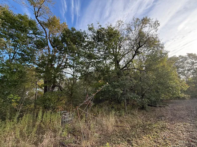 $320,000 | Tbd Nightingale Street, Braham, MN 55006