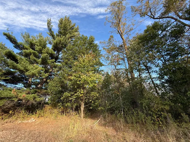 $320,000 | Tbd Nightingale Street, Braham, MN 55006