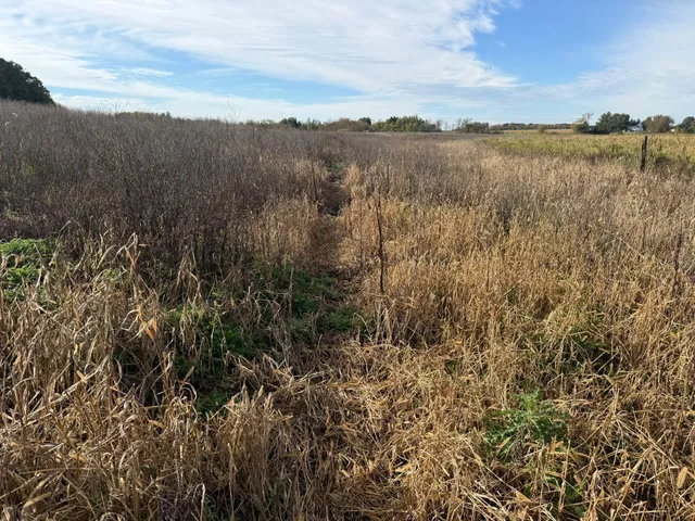 $320,000 | Tbd Nightingale Street, Braham, MN 55006