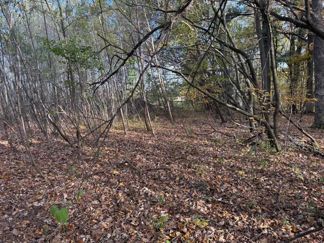 $320,000 | Tbd Nightingale Street, Braham, MN 55006