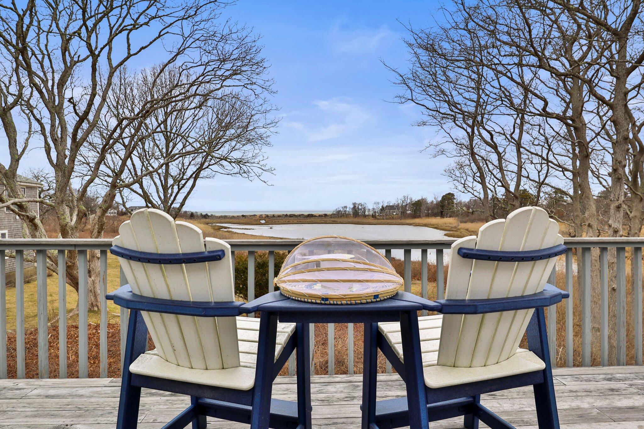 46 Captain Young Way Brewster, MA 02631 - Photo 43 of 44 Expansive Deck Views