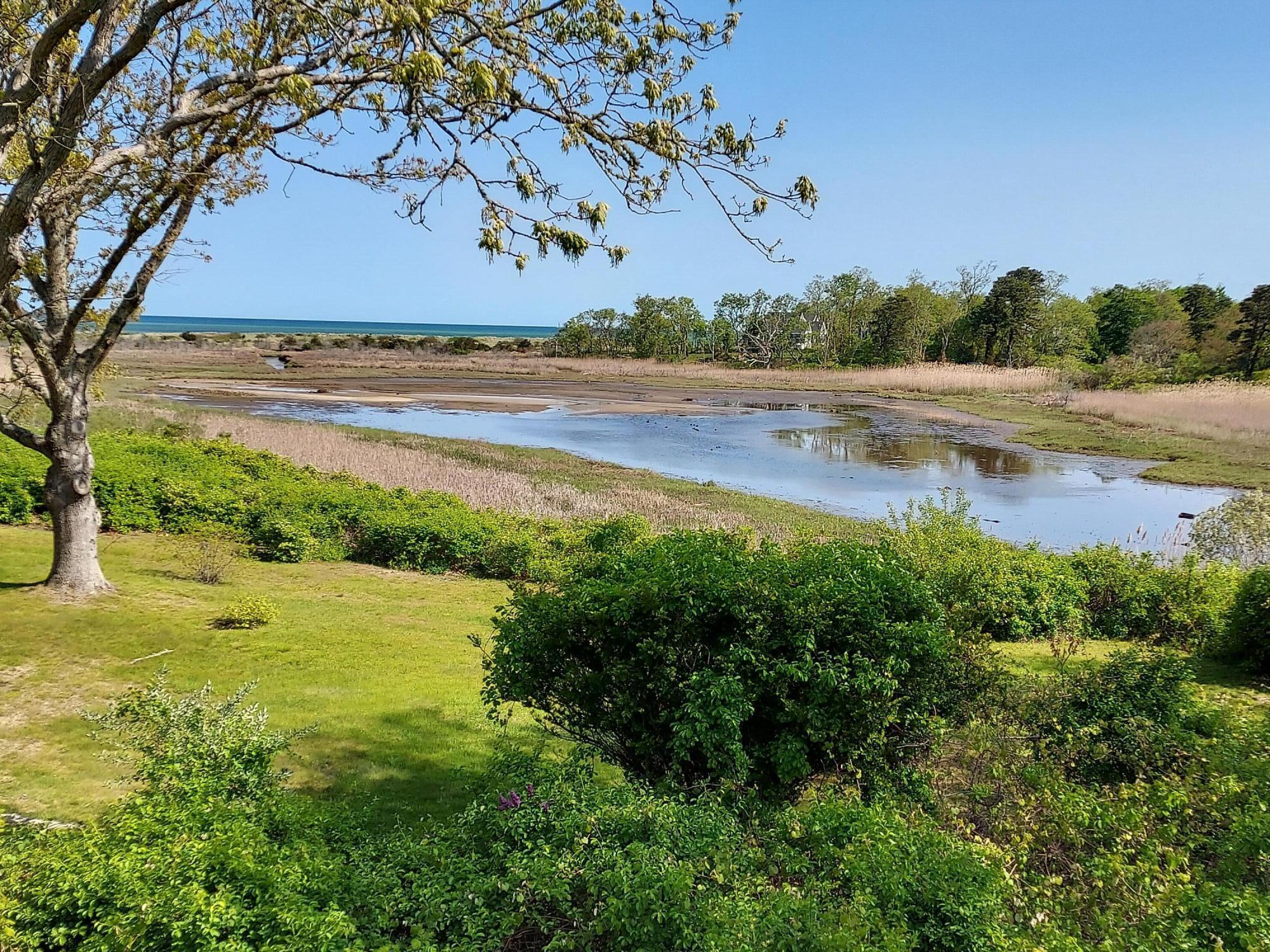 46 Captain Young Way Brewster, MA 02631 - Photo 5 of 44 Views from Deck