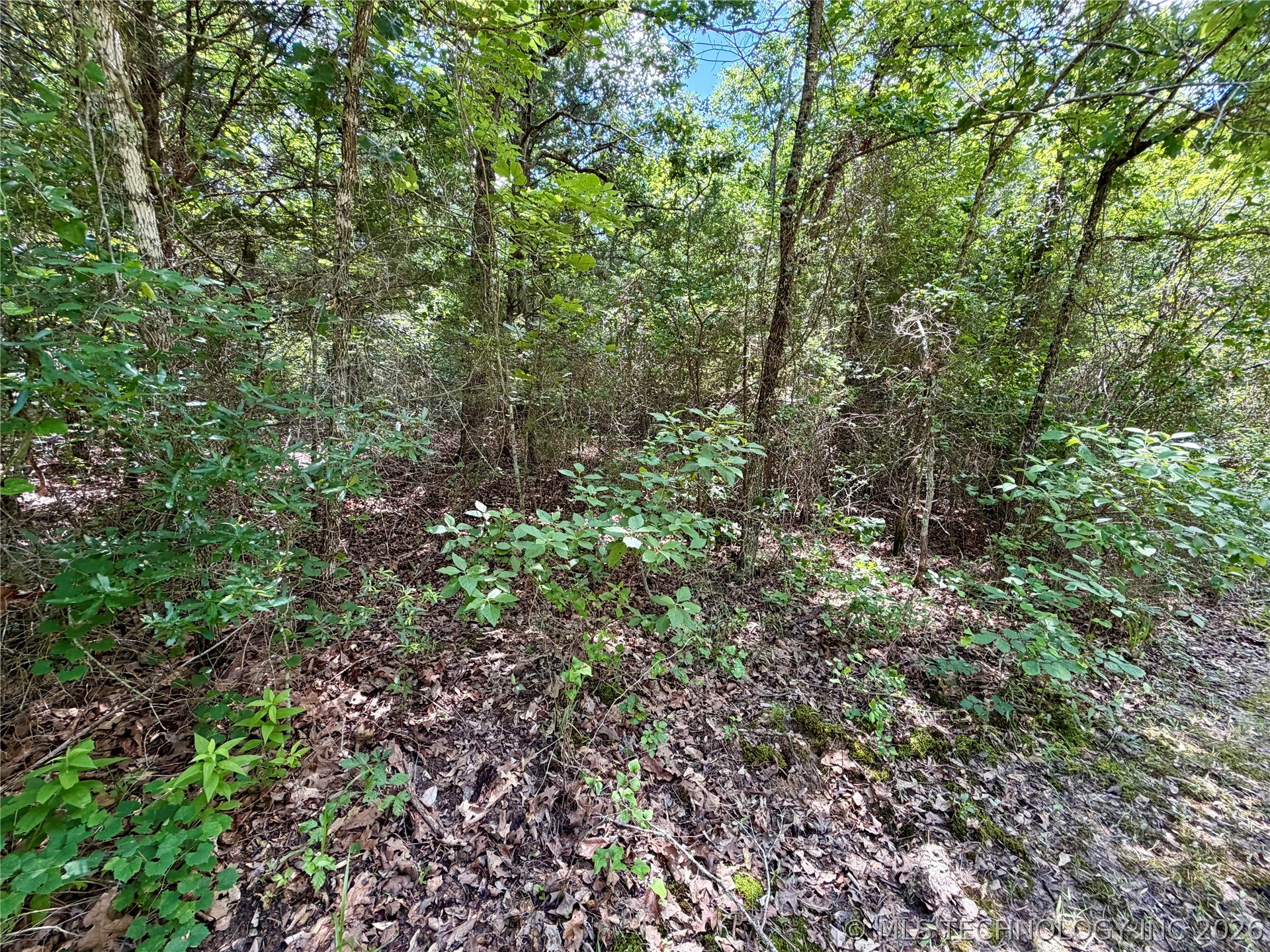 430797 East 1950 Road Rattan, OK 74562 - Photo 37 of 44 Gallery Image 37