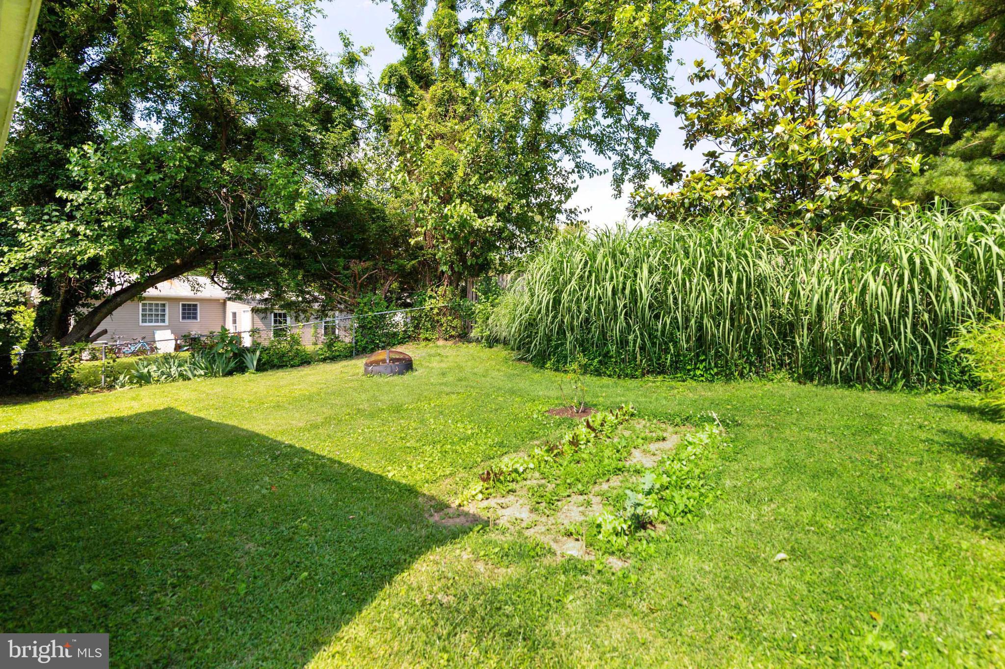 10107 Kohler Road Silver Spring, MD 20902 - Photo 29 of 34 Back yard