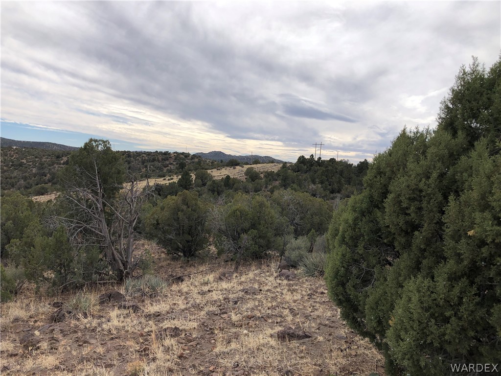 1505 North Paradise Ridge Road Kingman, AZ 86401 - Photo 6 of 14 a view of a valley
