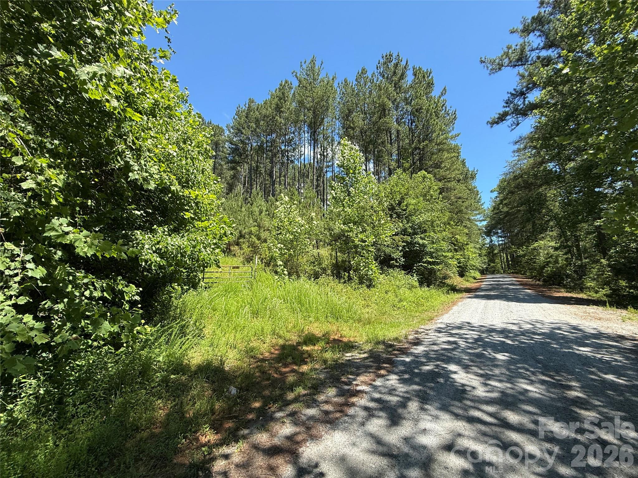 99999 Thompson Lake Road Rutherfordton, NC 28139 - Photo 7 of 24