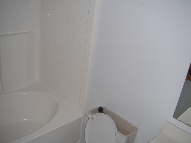 4 7 Pines Court Greer, SC 29651 - Photo 8 of 9