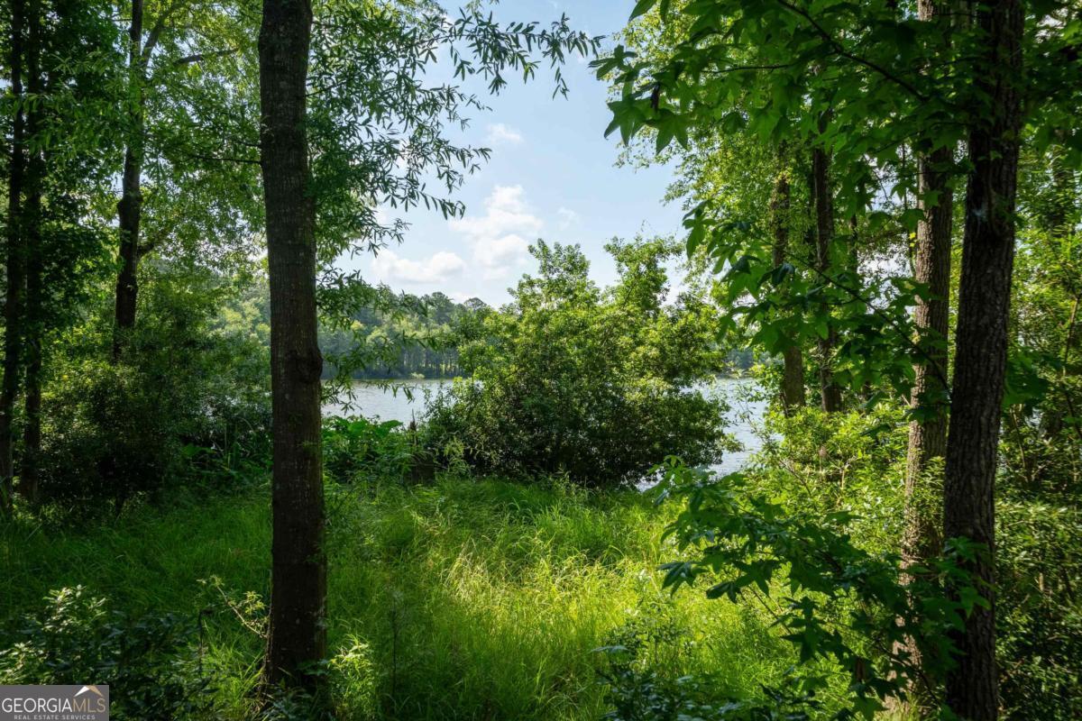 1360 Sailview Drive Buckhead, GA 30625 - Photo 27 of 37