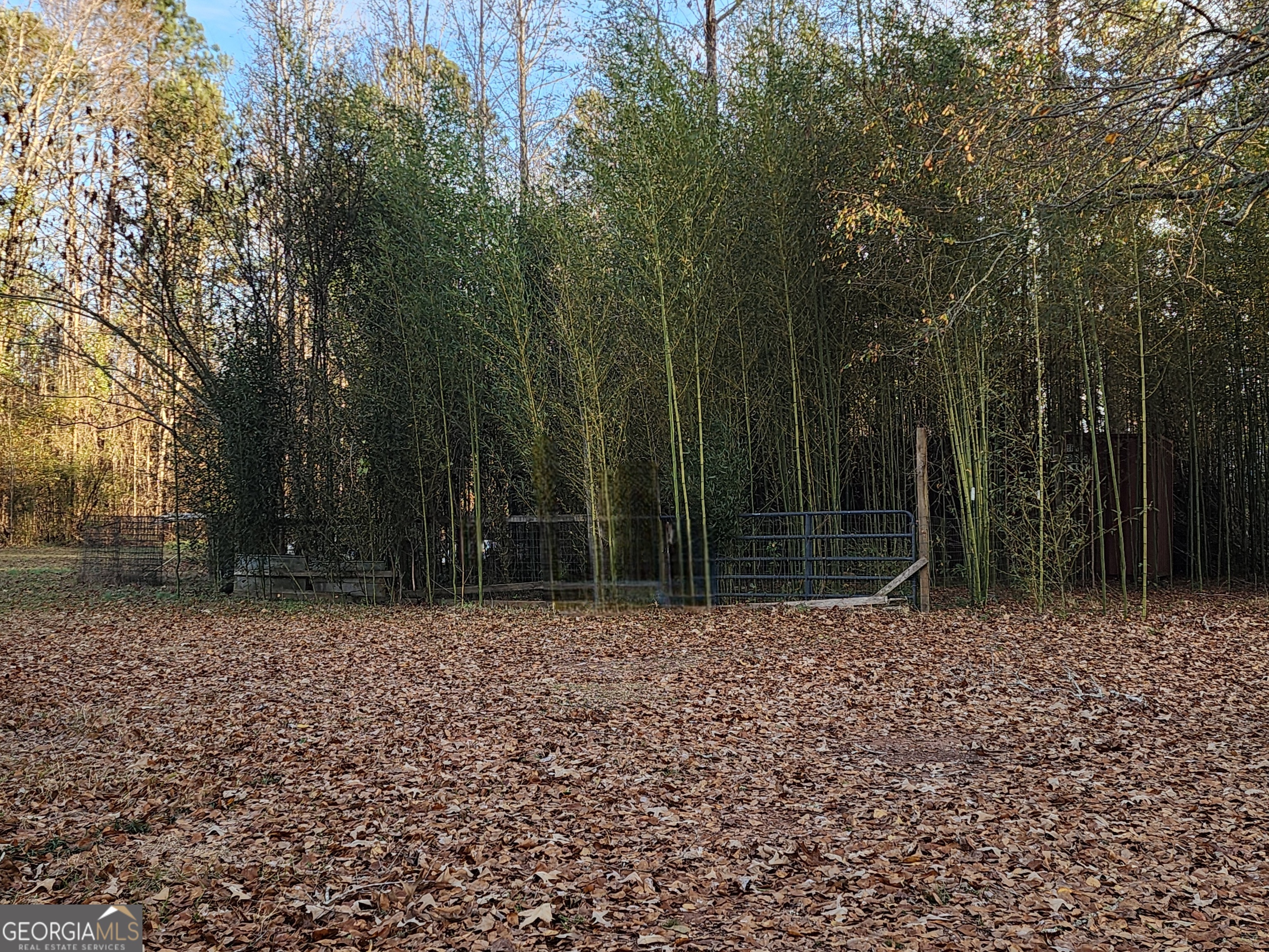 1405 Smith Road Forsyth, GA 31029 - Photo 3 of 4