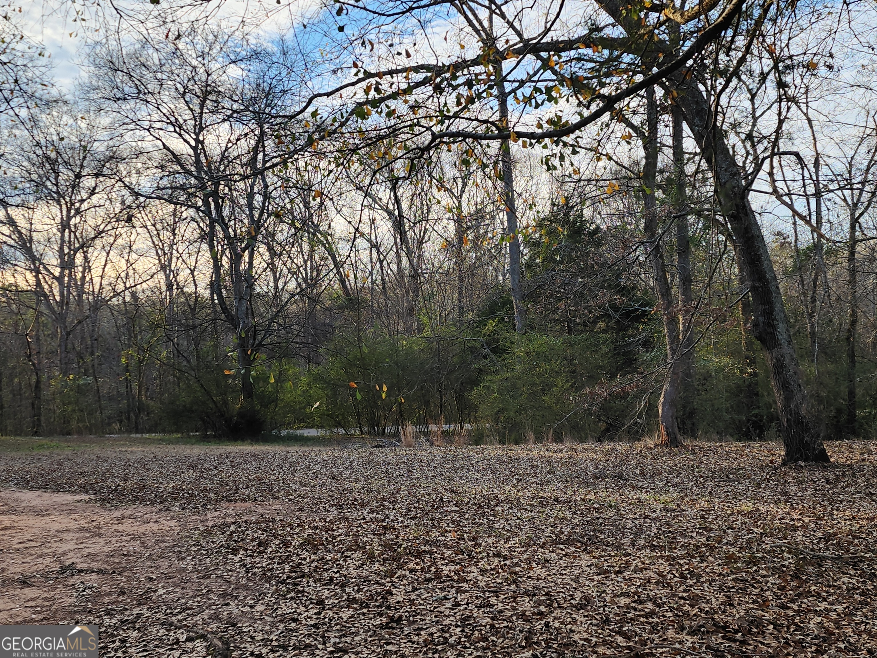 1405 Smith Road Forsyth, GA 31029 - Photo 4 of 4