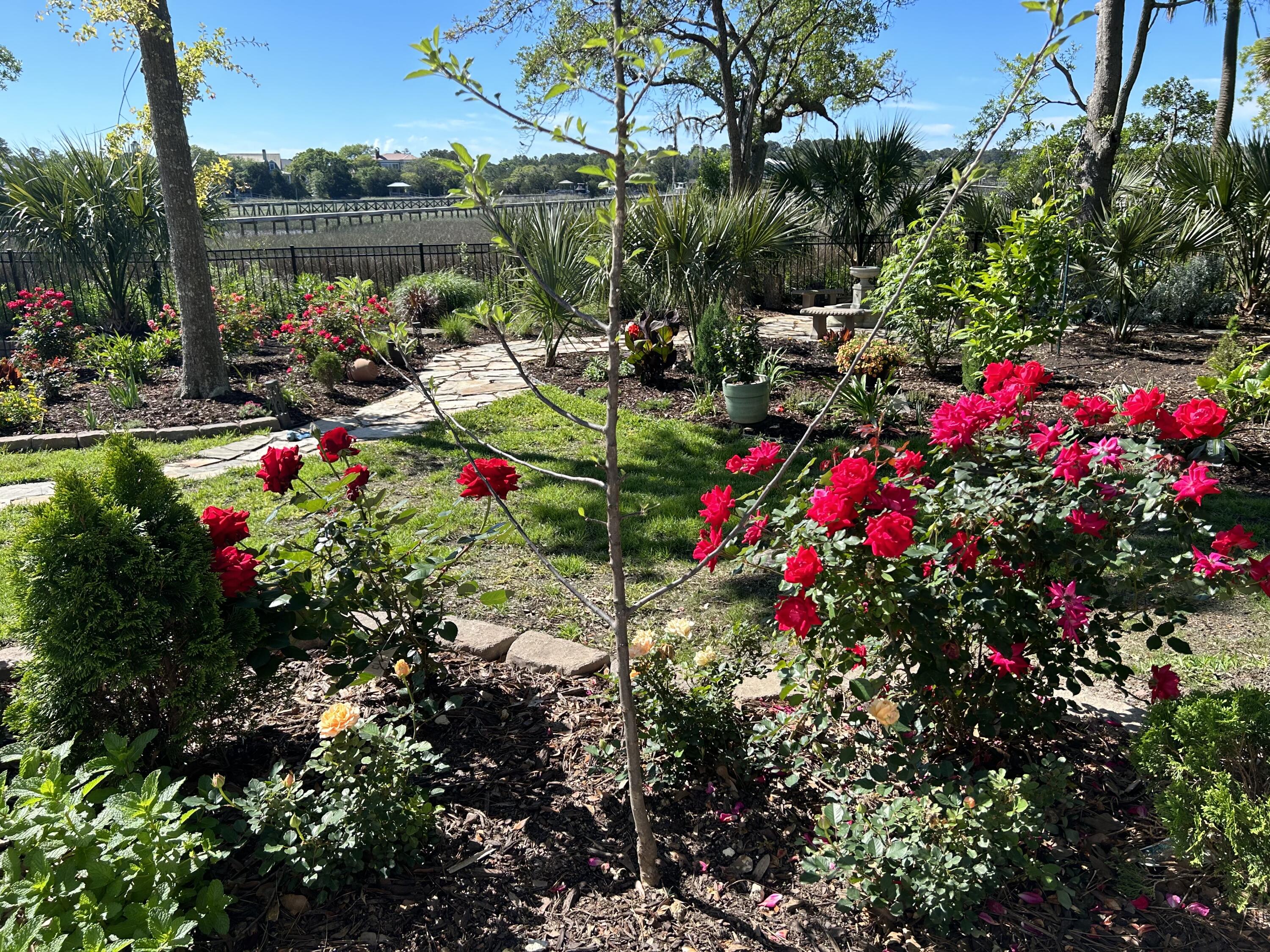 2805 Parkers Landing Road Mount Pleasant, SC 29466 - Photo 60 of 97 FE9C9228-0E4B-45C8-9FEE-4226A90FE746