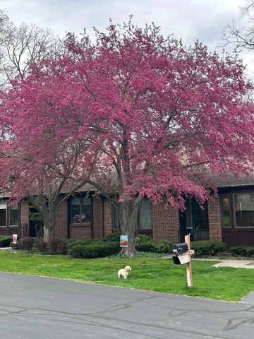 $329,900 | 6348 Greenway Drive Southeast, Grand Rapids, MI 49546