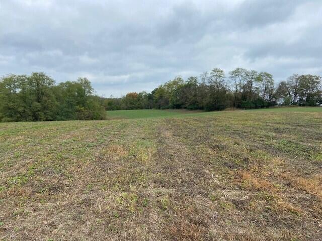 0 Brooksville Chatham Road Augusta, KY 41002 - Photo 3 of 7 Gallery Image 3
