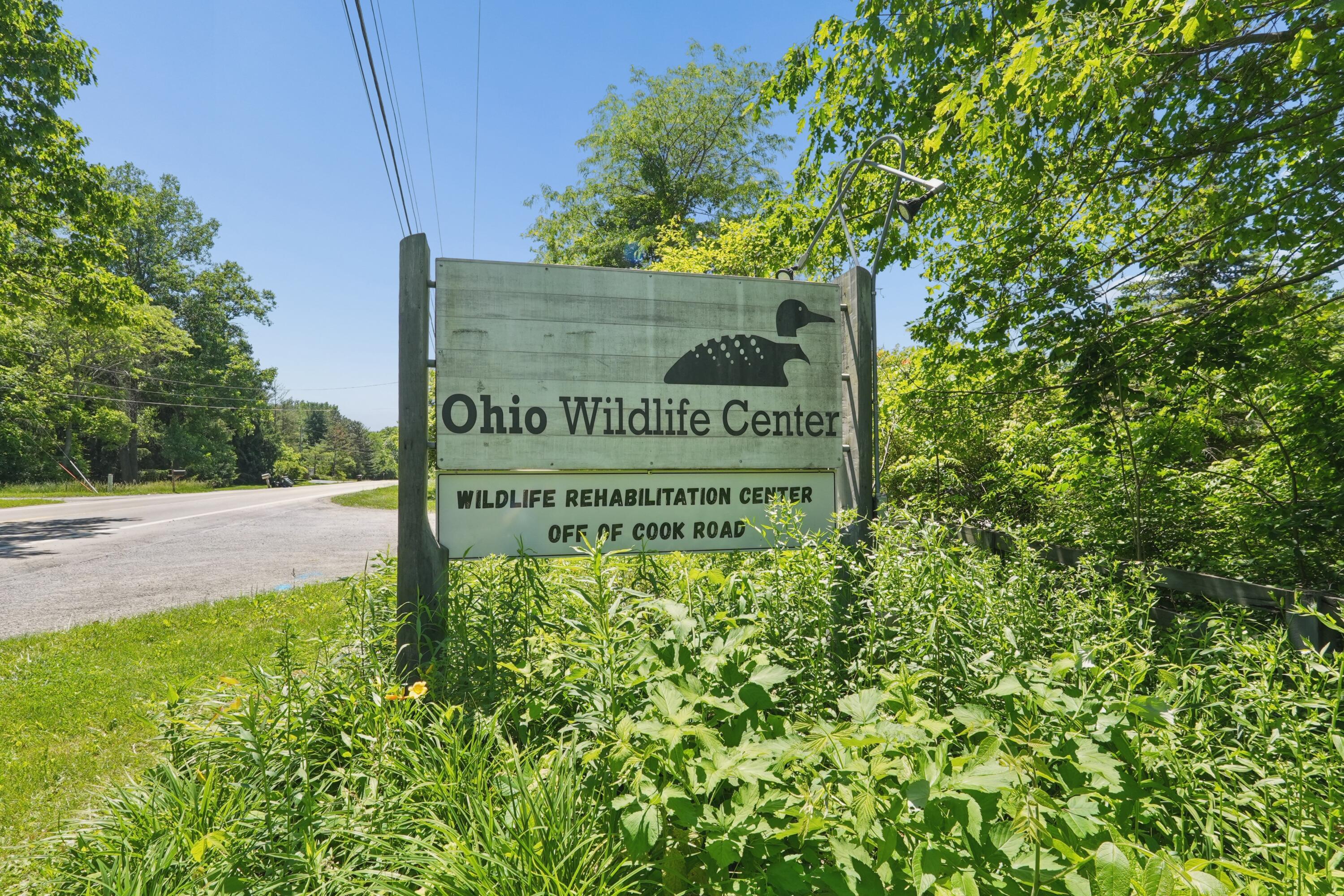 6343 Cook Road Powell, OH 43065 - Photo 83 of 87