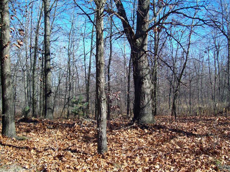 17 West Wilke Road Rothbury, MI 49452 - Photo 14 of 34 Beautiful property