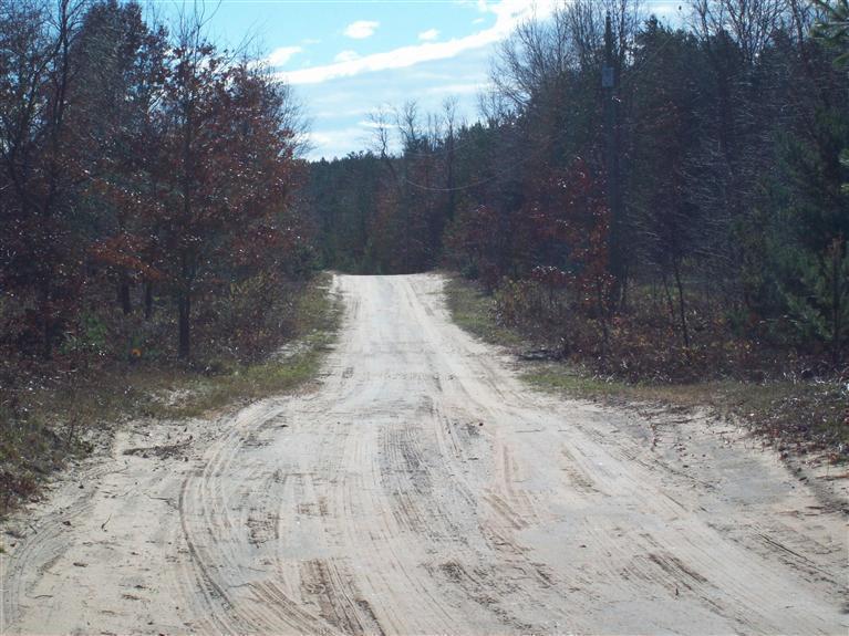 17 West Wilke Road Rothbury, MI 49452 - Photo 17 of 34 Driveway