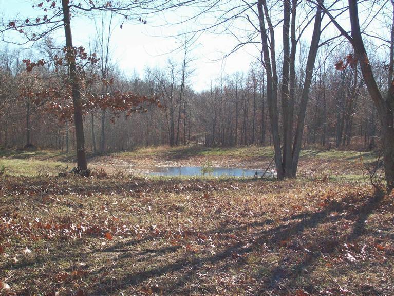 17 West Wilke Road Rothbury, MI 49452 - Photo 3 of 34 Pond