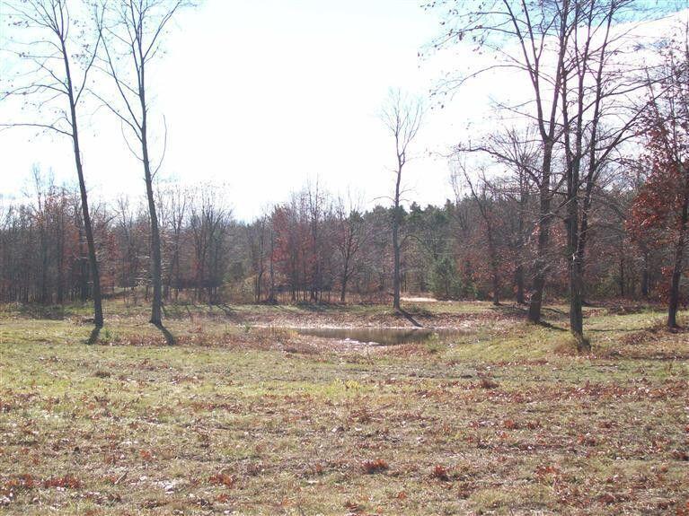 17 West Wilke Road Rothbury, MI 49452 - Photo 4 of 34 Photo of pond