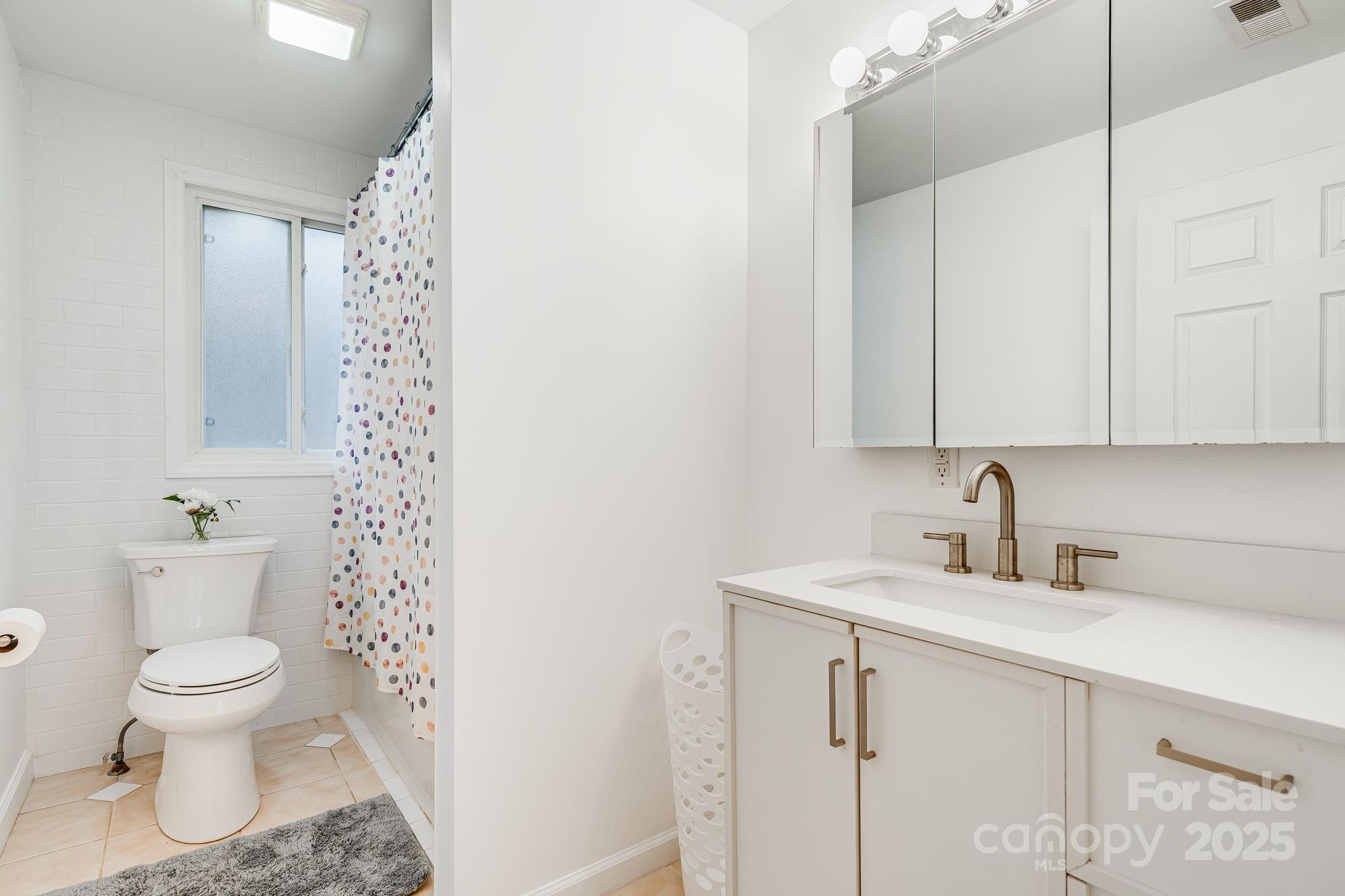 195 Whitmire Road Brevard, NC 28712 - Photo 12 of 30 a bathroom with a sink toilet and vanity