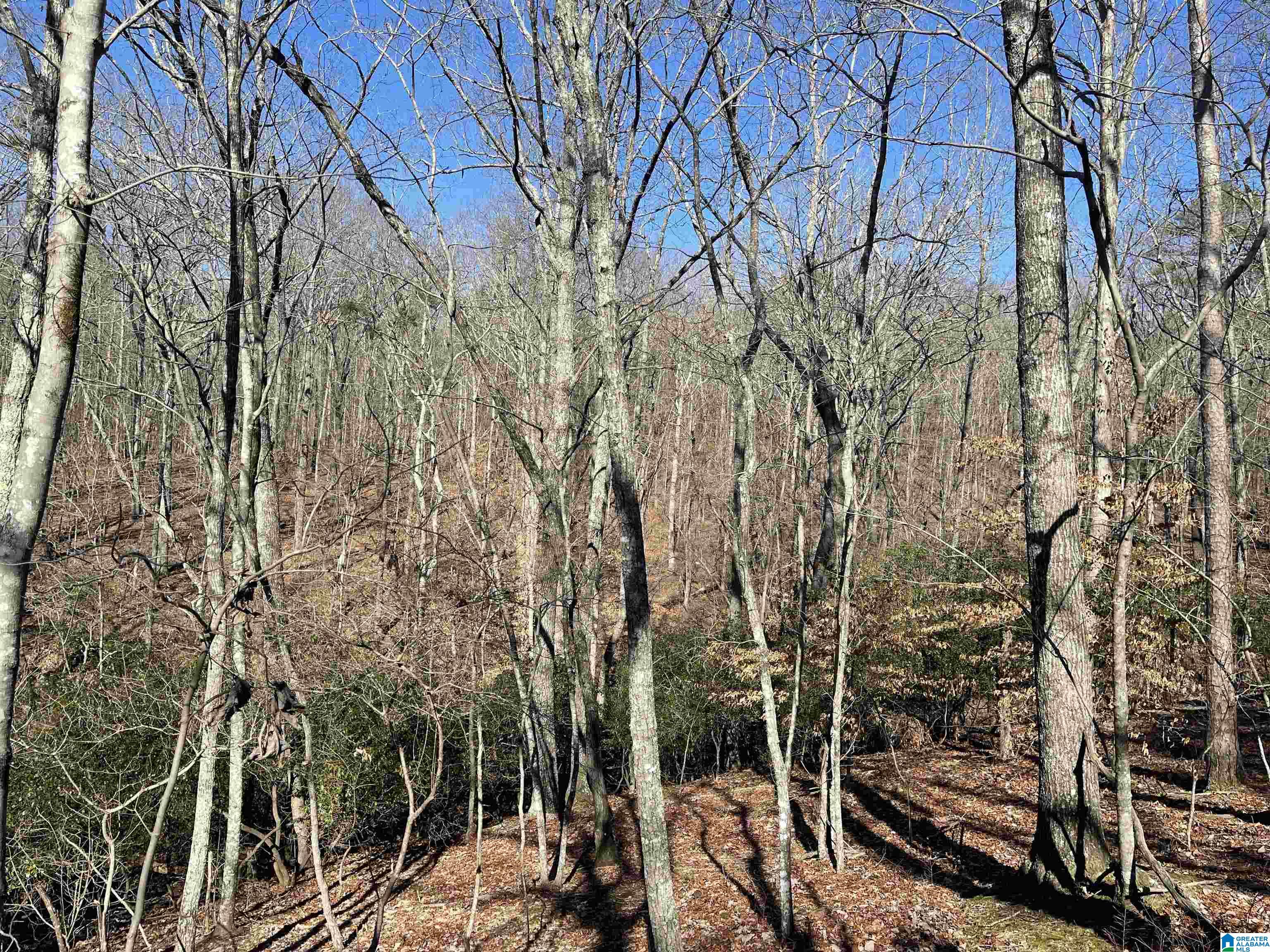 0 County Road 852, Unit 4 Ranburne, AL 36273 - Photo 4 of 19