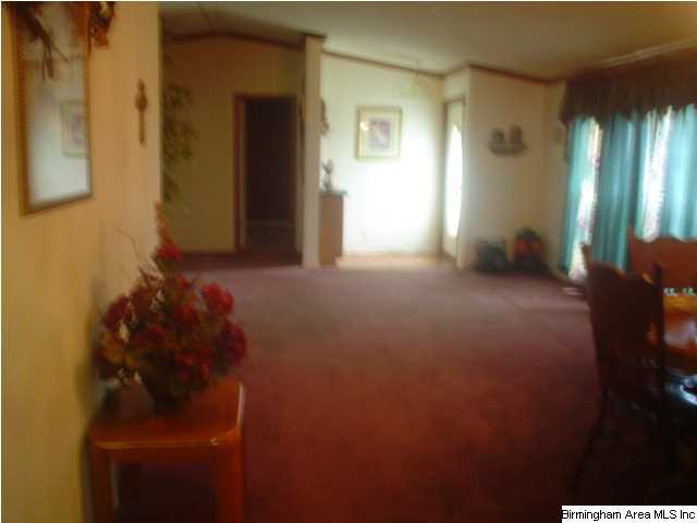 3205 Ebell Road Oneonta, AL 35121 - Photo 4 of 23 Gallery Image 4