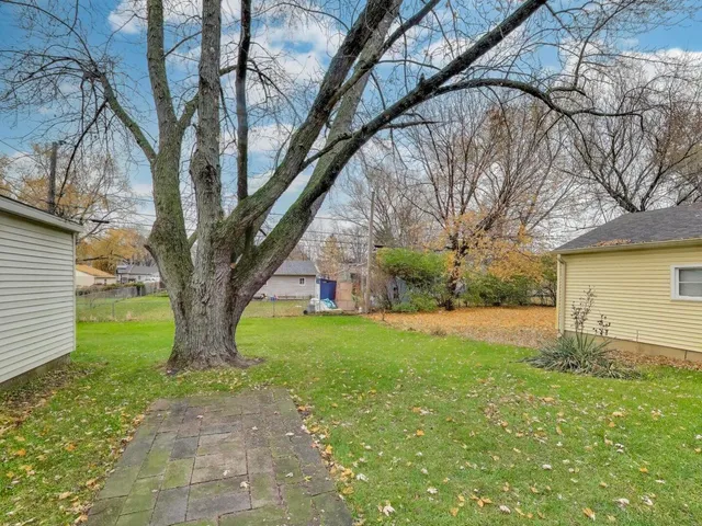 a backyard of a house with plants and large tree