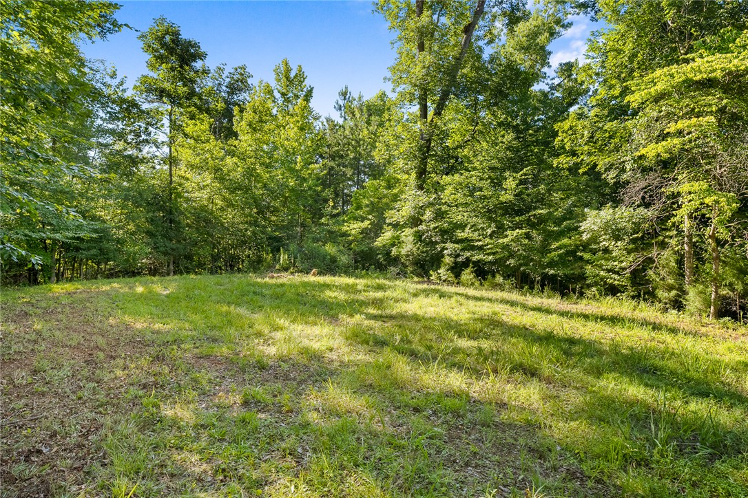 75 Hidden Acres Trail Pelzer, SC 29669 - Photo 16 of 32