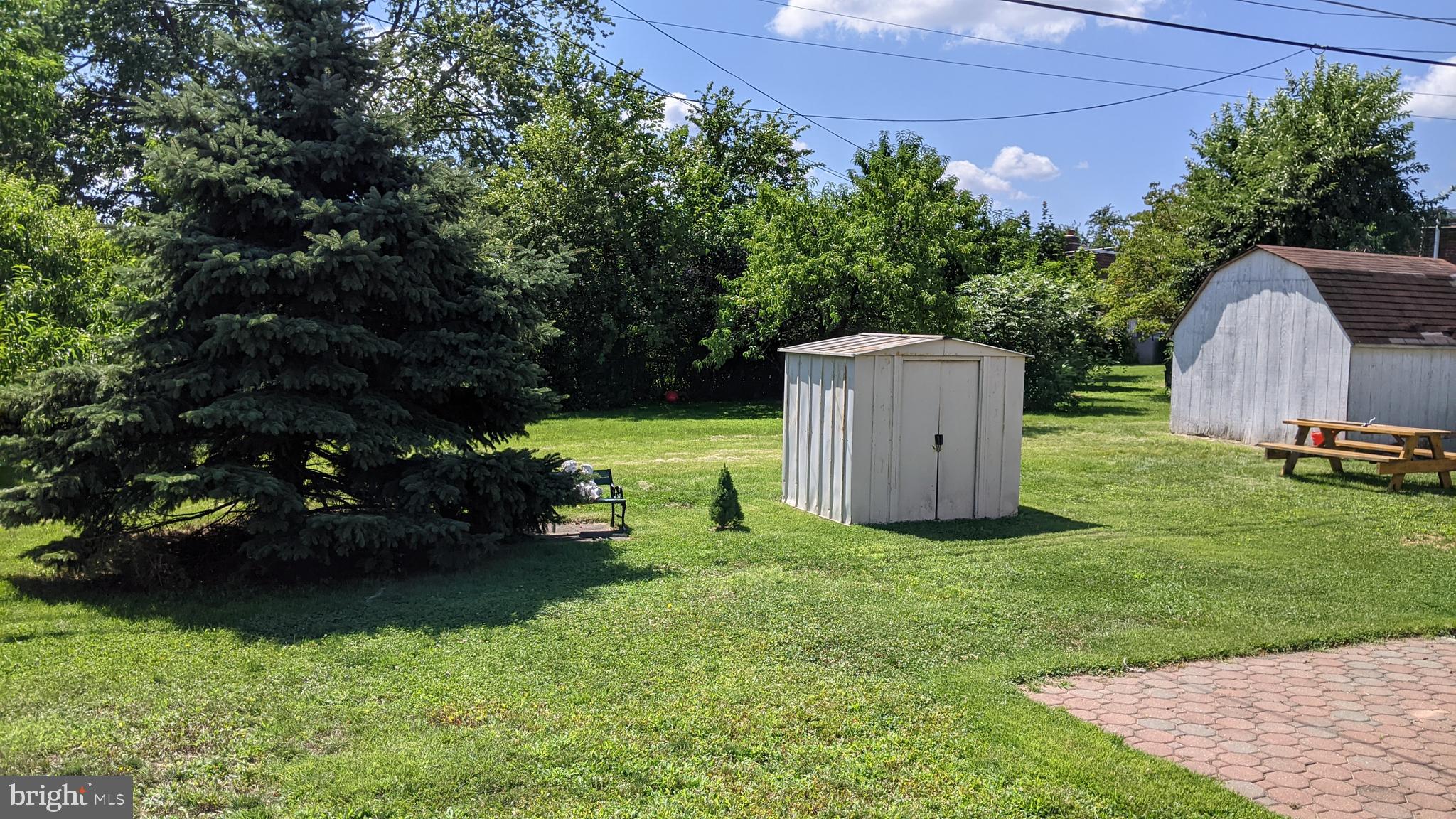 Rear Yard
