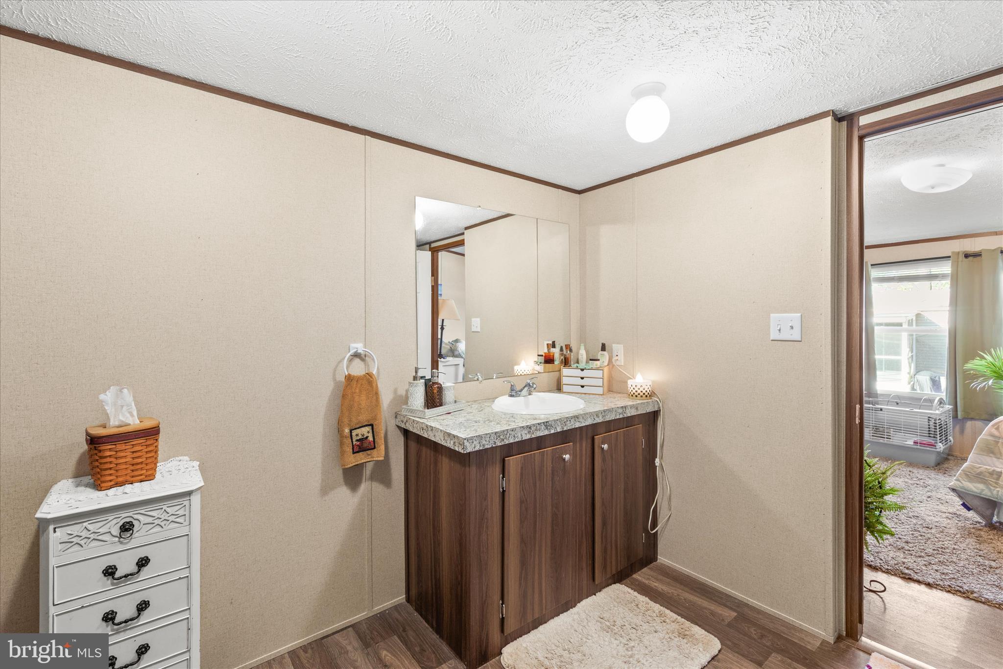 27297 Waters Edge Road Millsboro, DE 19966 - Photo 22 of 46 a bathroom with a sink and a mirror