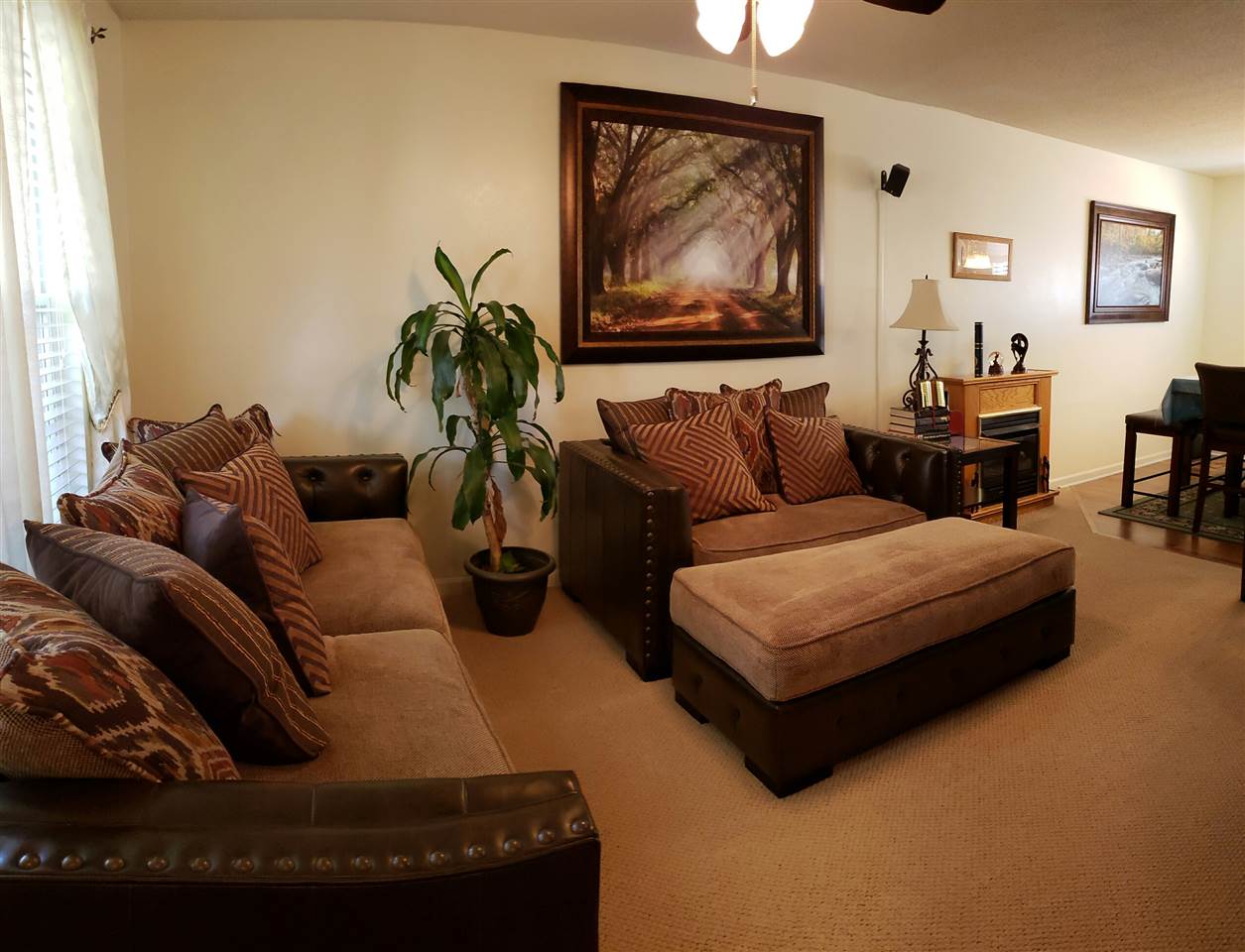 446 Pleasant Green Drive Inman, SC 29349 - Photo 9 of 20 Gallery Image 9