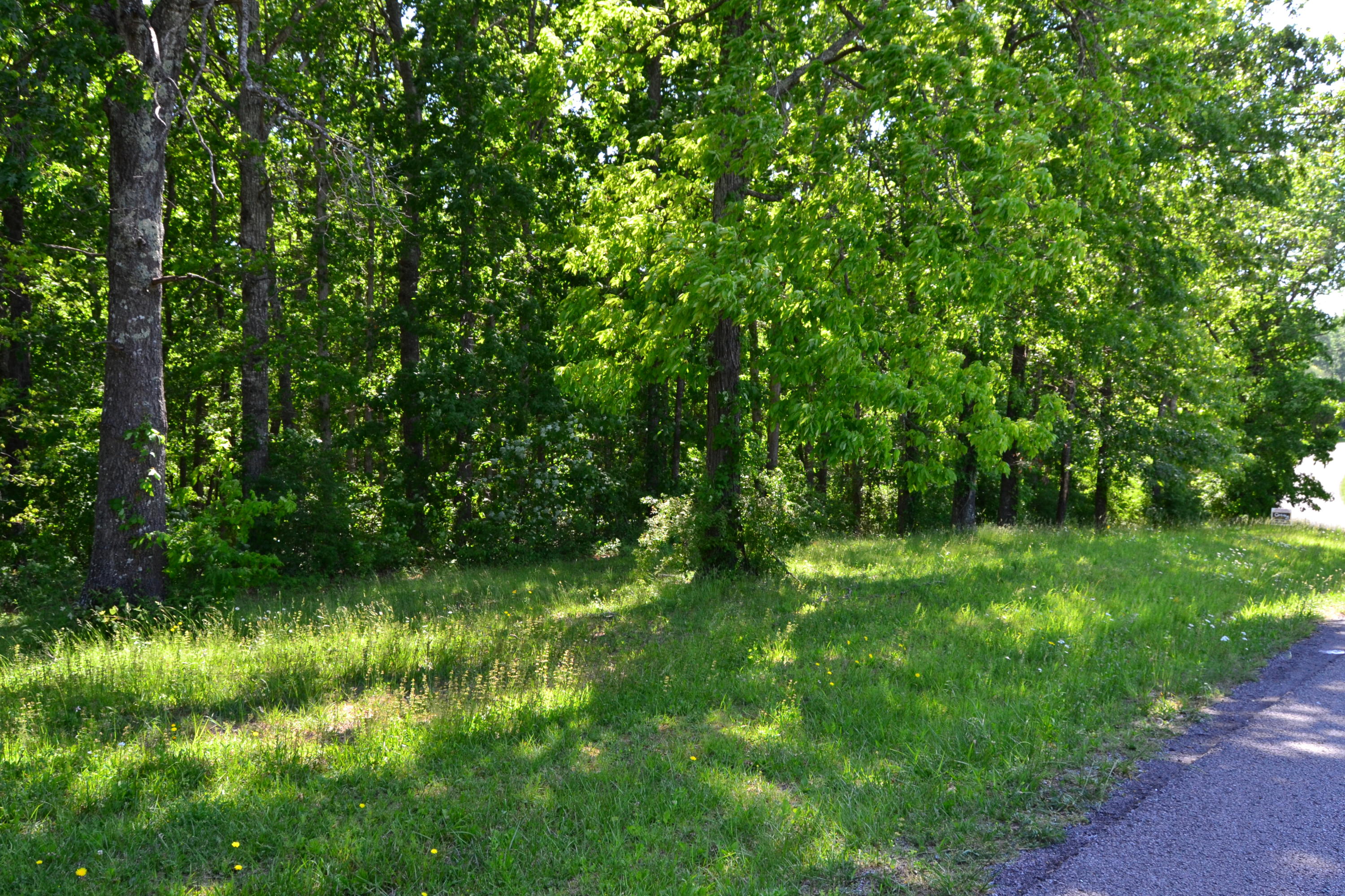 Martin Road Crossville, TN 38555 - Photo 1 of 5 1