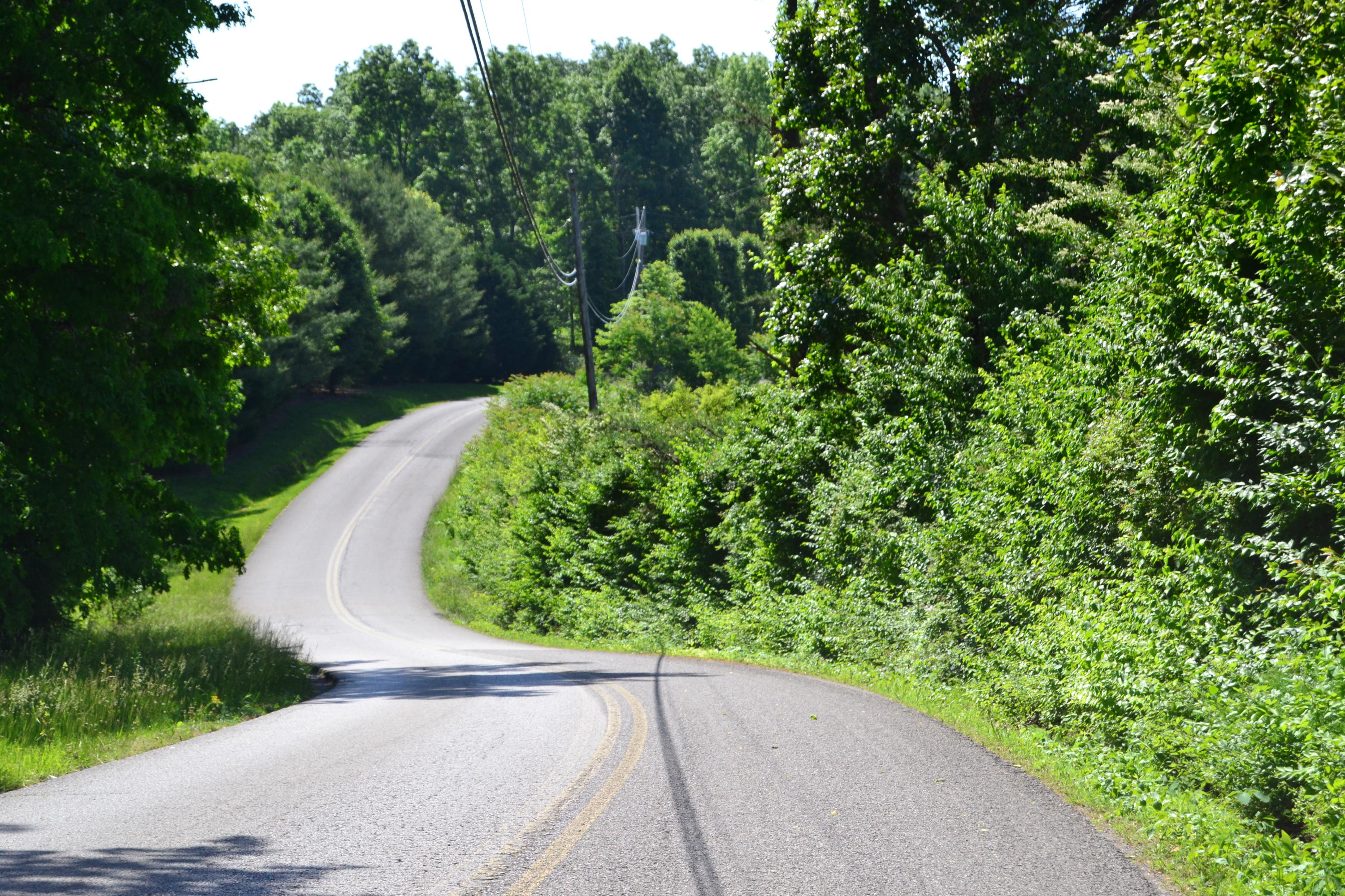 Martin Road Crossville, TN 38555 - Photo 3 of 5 3