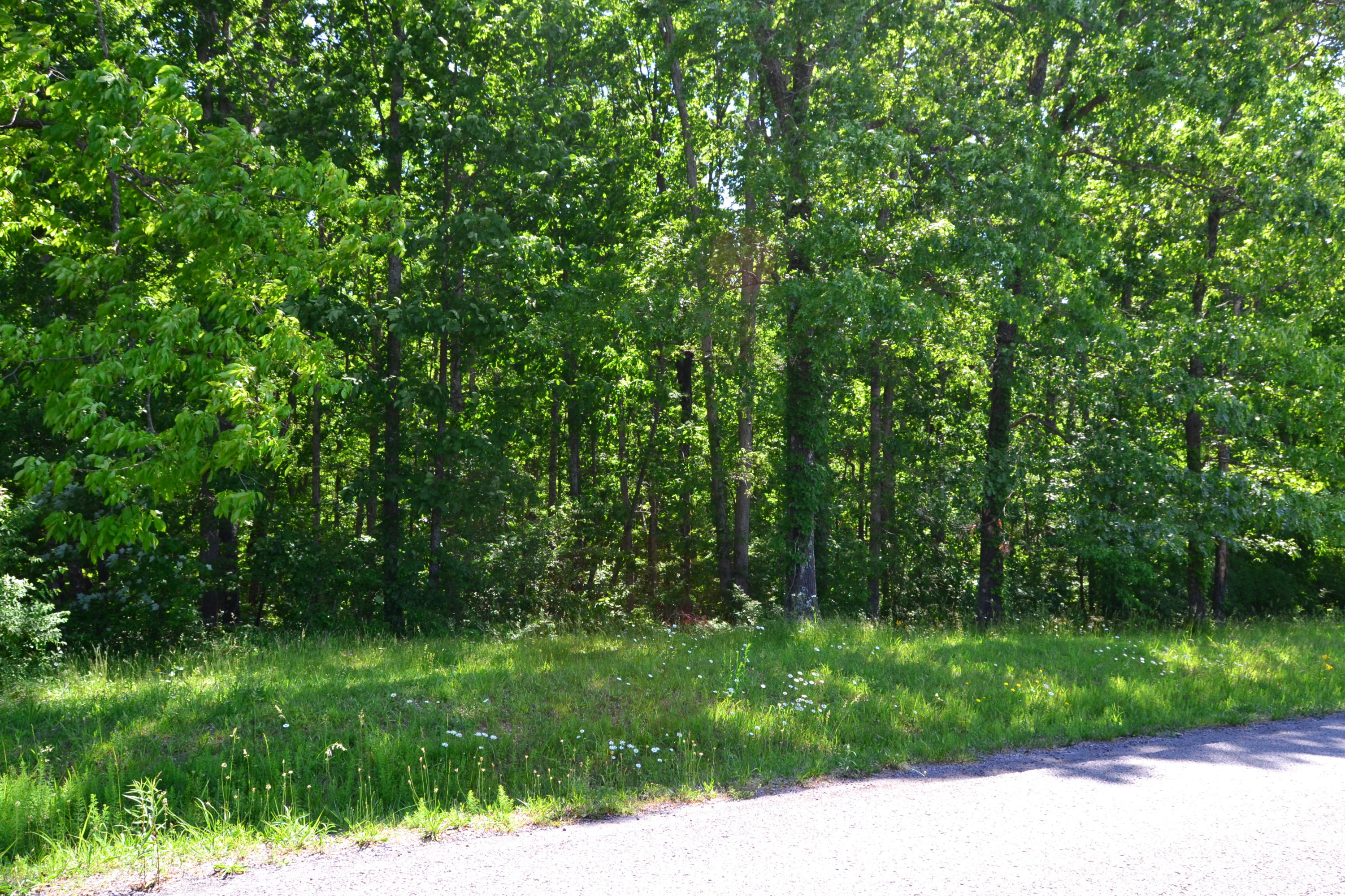 Martin Road Crossville, TN 38555 - Photo 4 of 5 4