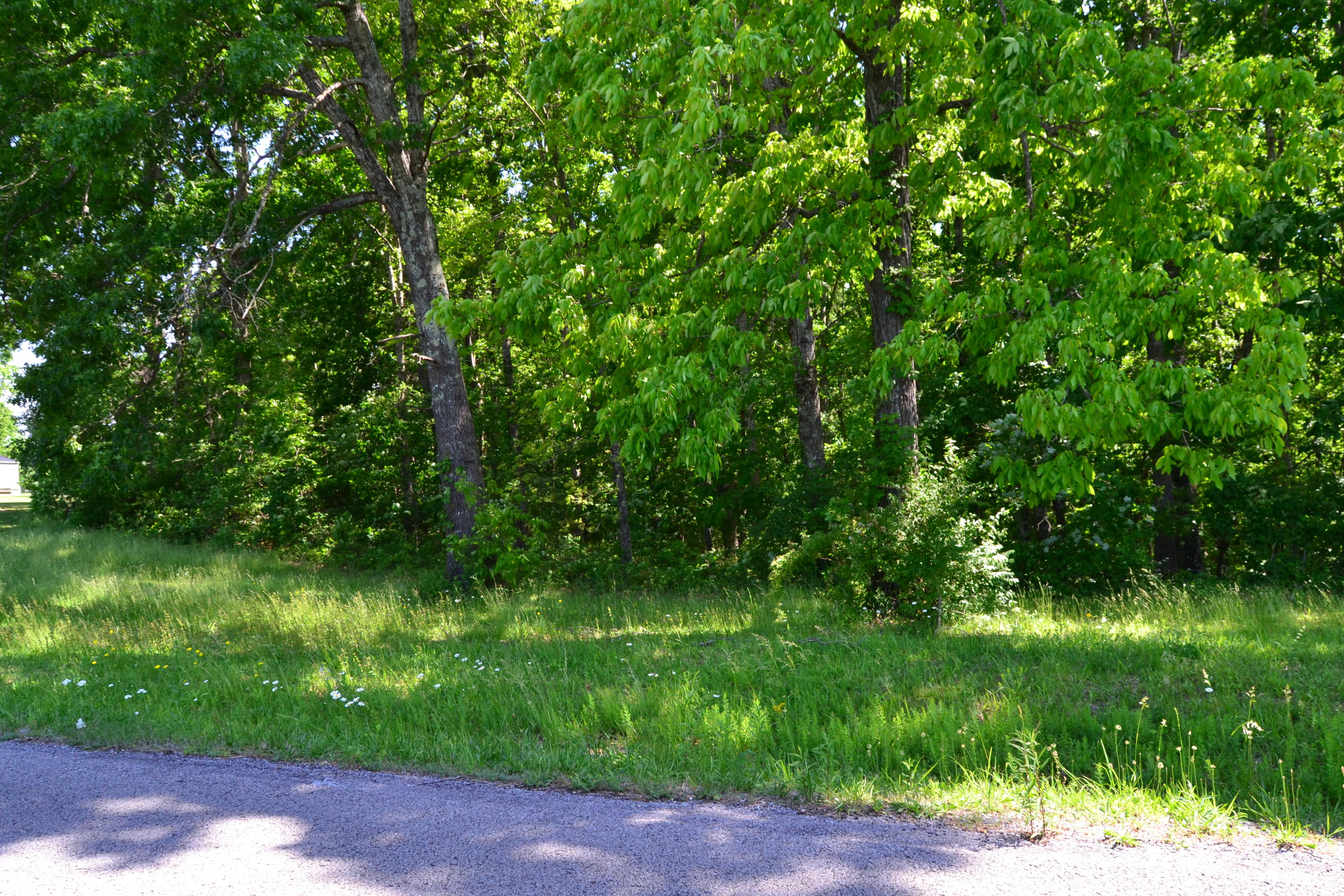 Martin Road Crossville, TN 38555 - Photo 5 of 5 DSC_0052