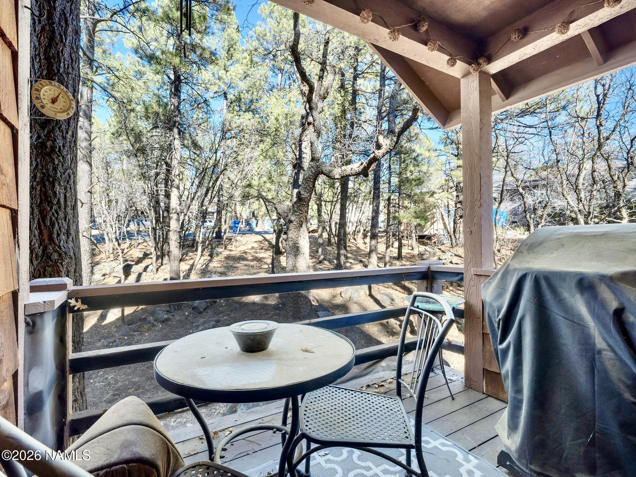 1430 North Rim Drive Flagstaff, AZ 86001 - Photo 31 of 34 39-web-or-mls-TimberCreekimagery-37