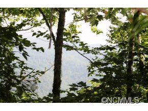 0 Round Hill Road Bryson City, NC 28713 - Photo 11 of 19